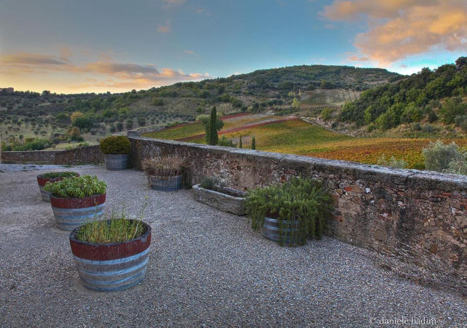 Dimora Toscana Apartment Seggiano Exterior photo